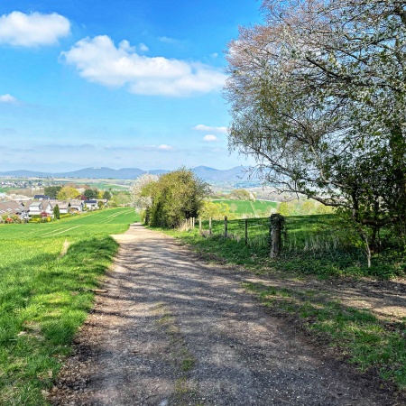 Größeres Bild ansehen