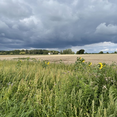 Größeres Bild ansehen