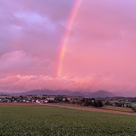 Größeres Bild ansehen