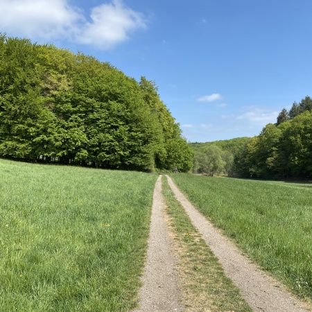 Größeres Bild ansehen