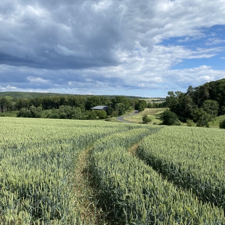 Größeres Bild ansehen