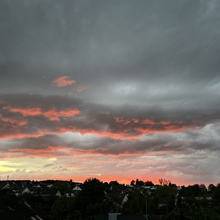Größeres Bild ansehen